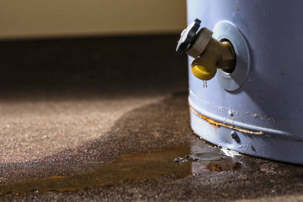 Best Water damage cleanup near me  in Benicia, CA