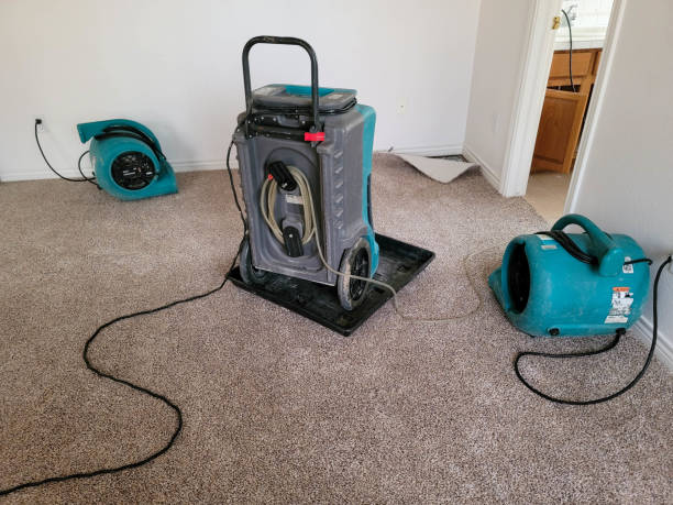 Best Water damage restoration near me  in Benicia, CA