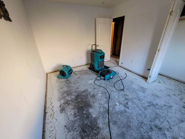 Best Carpet water damage restoration  in Benicia, CA