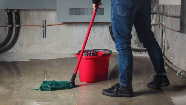 Best Flood damage cleanup  in Benicia, CA