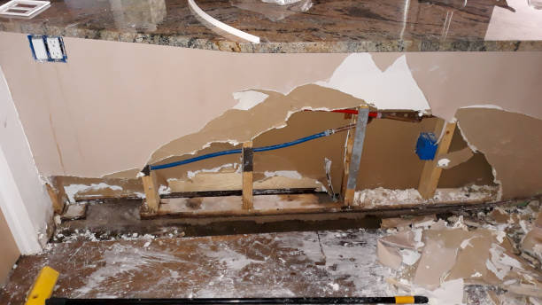 Best Ceiling water damage repair  in Benicia, CA