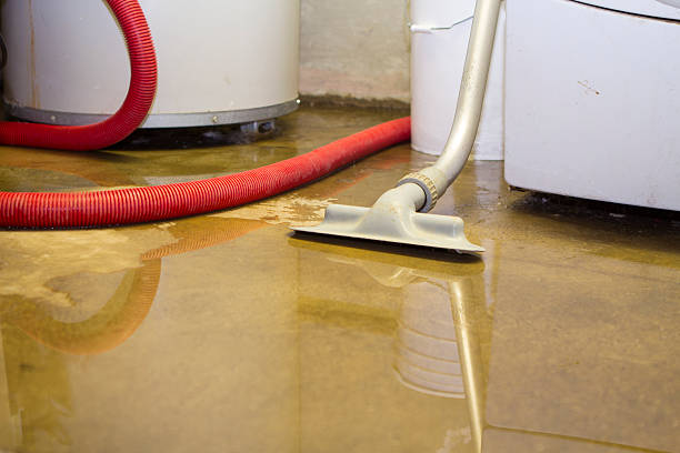 Best Water damage restoration process  in Benicia, CA