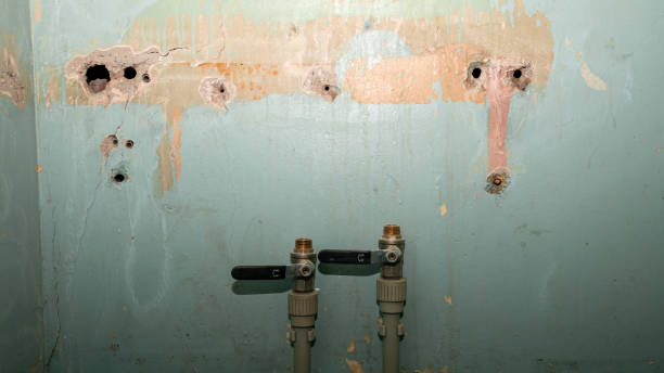 Carpet water damage restoration in Benicia, CA