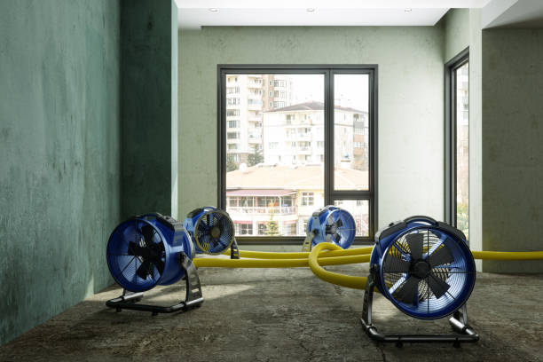 Best Water damage restoration near me  in Benicia, CA