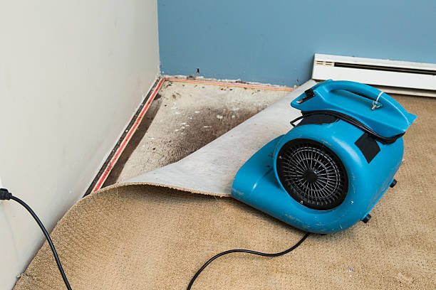 Best Fire Damage Restoration  in Benicia, CA